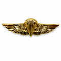 Recon Lapel-Hat Pin | Military Hats & Pins