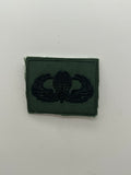 US Military Tabs and Tiny Logo 1 1/2 : Subdued Jump Wings | Military Hats & Pins