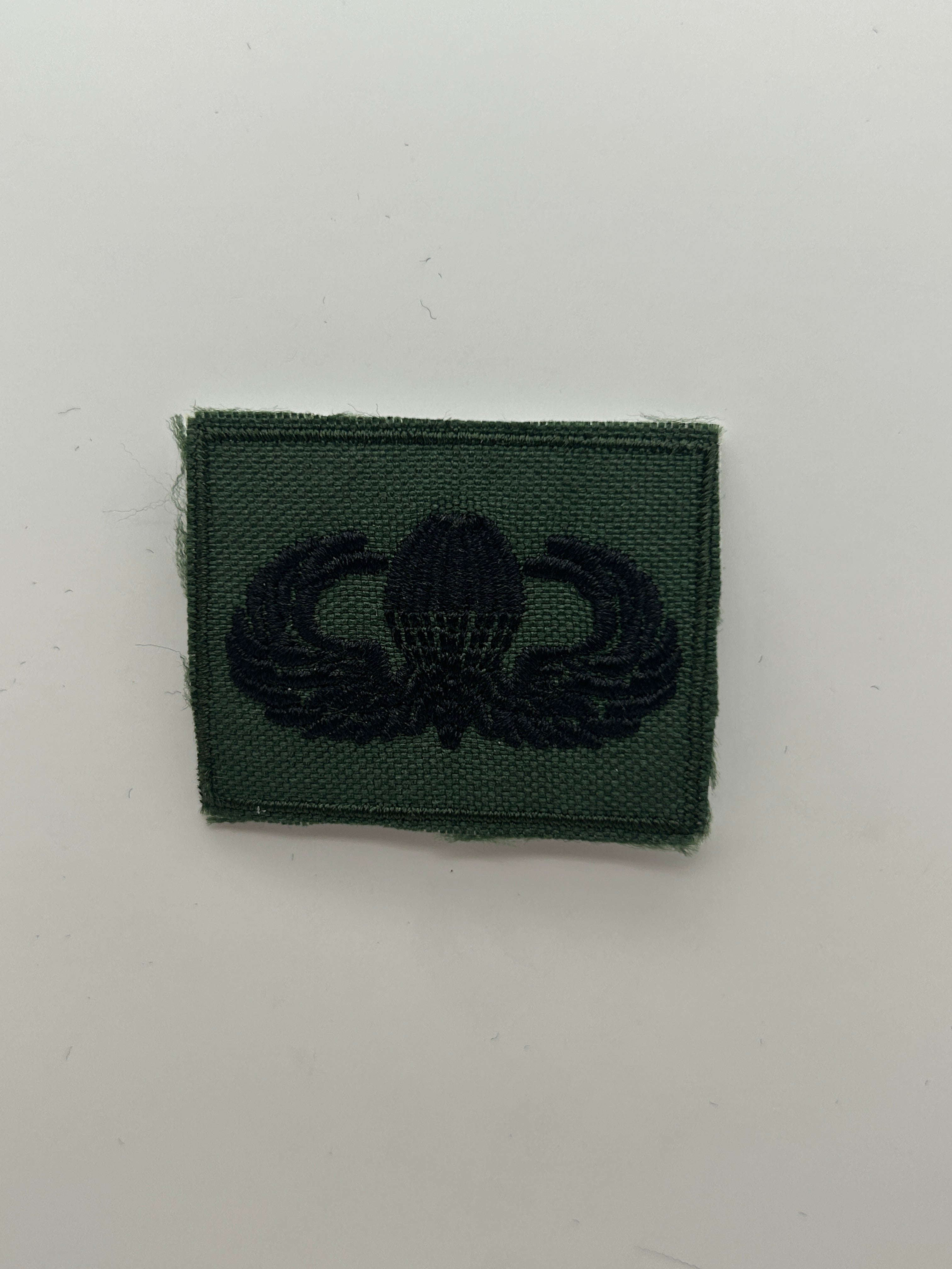 US Military Tabs and Tiny Logo 1 1/2 : Subdued Jump Wings | Military Hats & Pins