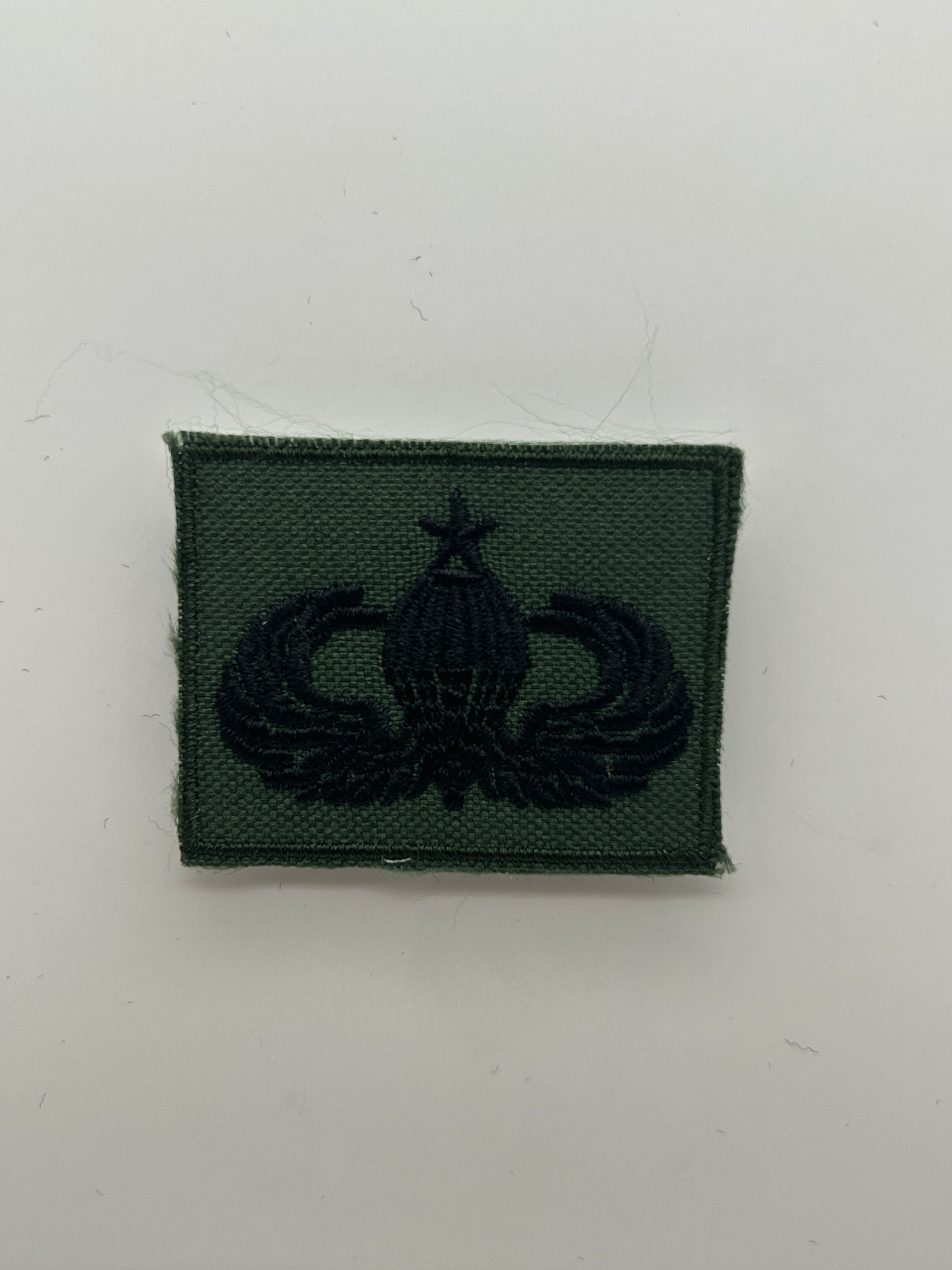 US Military Tabs and Tiny Logo 1 1/2 : Subdued Master Wings | Military Hats & Pins