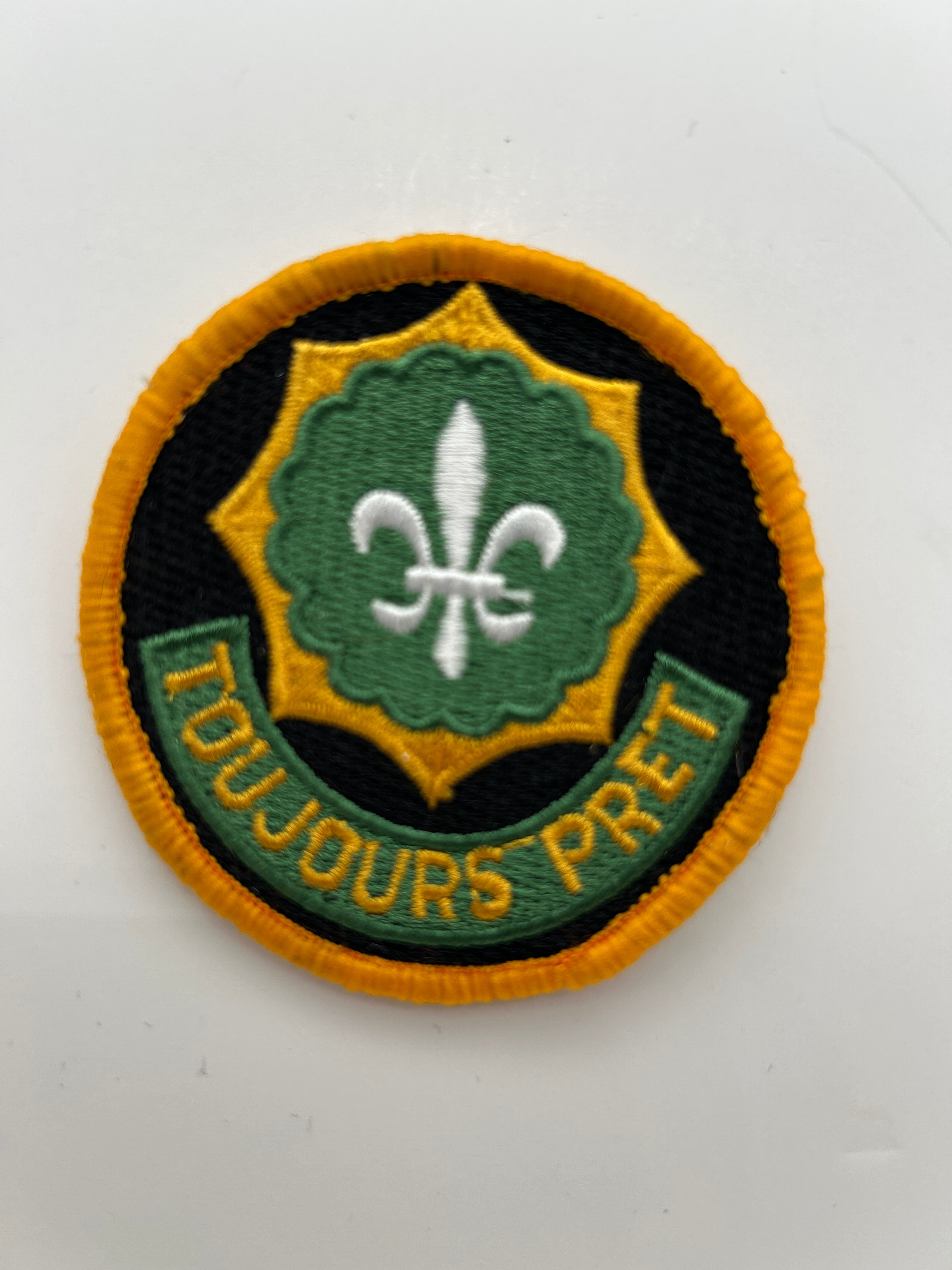US Army Patch:  Army 2nd Cavalry Regiments Military Patch | Military Hats & Pins
