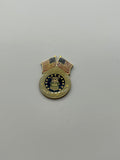 US Air Force Lapel Pin Double American Flag - USAF Seal Military Hat Tie Tac Pin